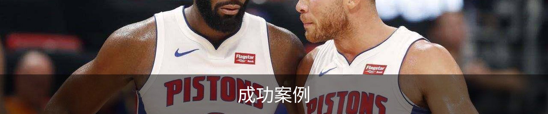成功案例